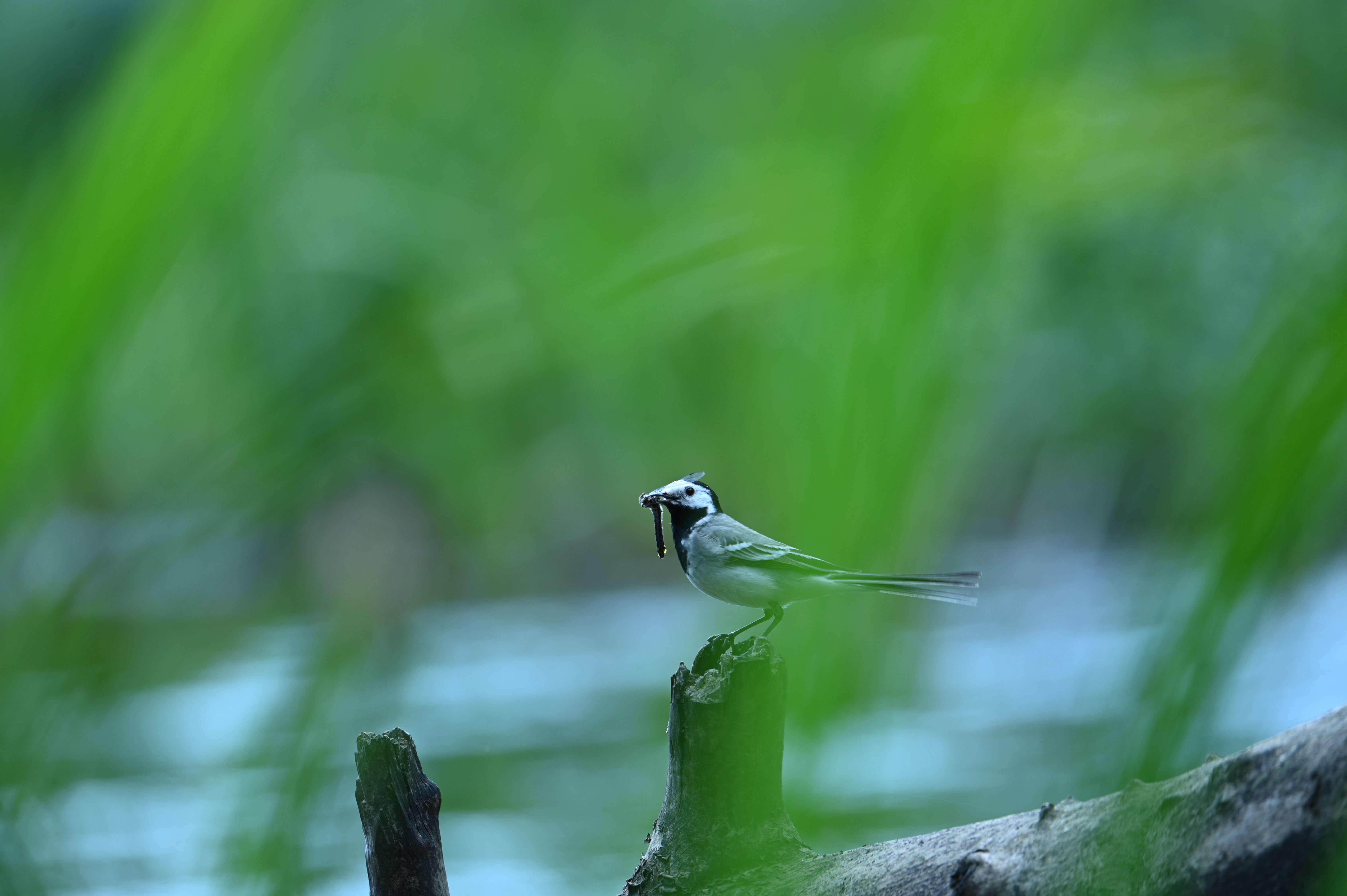 2025/07/09-14 - trip/DSC_0443.JPG